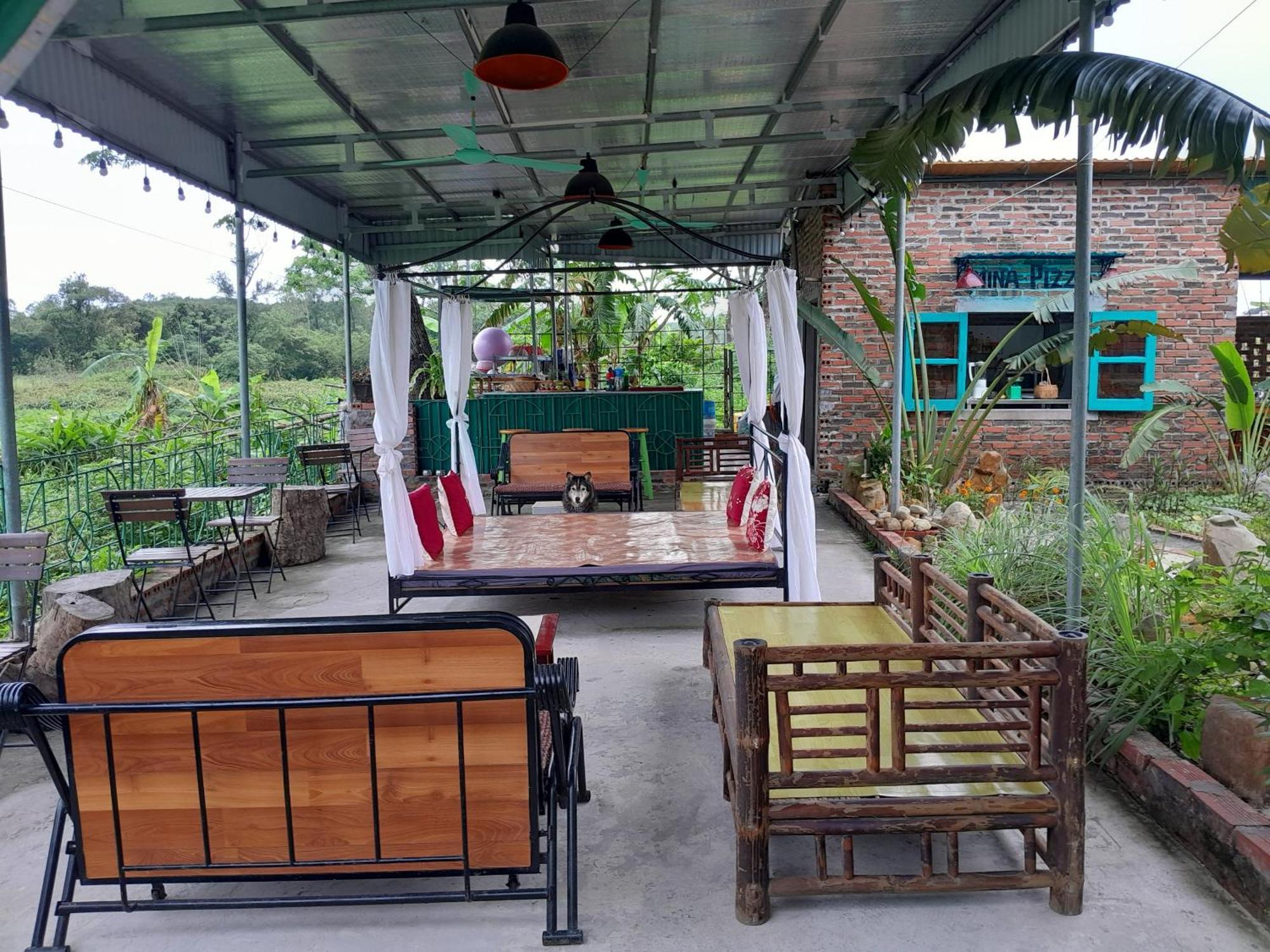 Mina Cafe & Stay Quan Lan Dış mekan fotoğraf