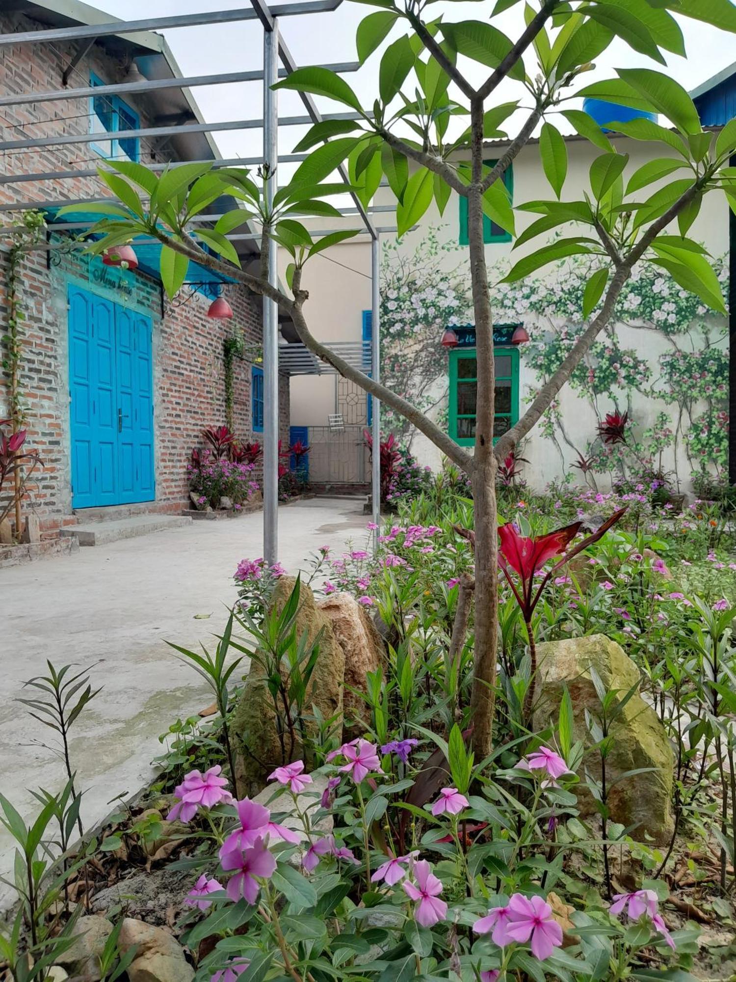Mina Cafe & Stay Quan Lan Dış mekan fotoğraf