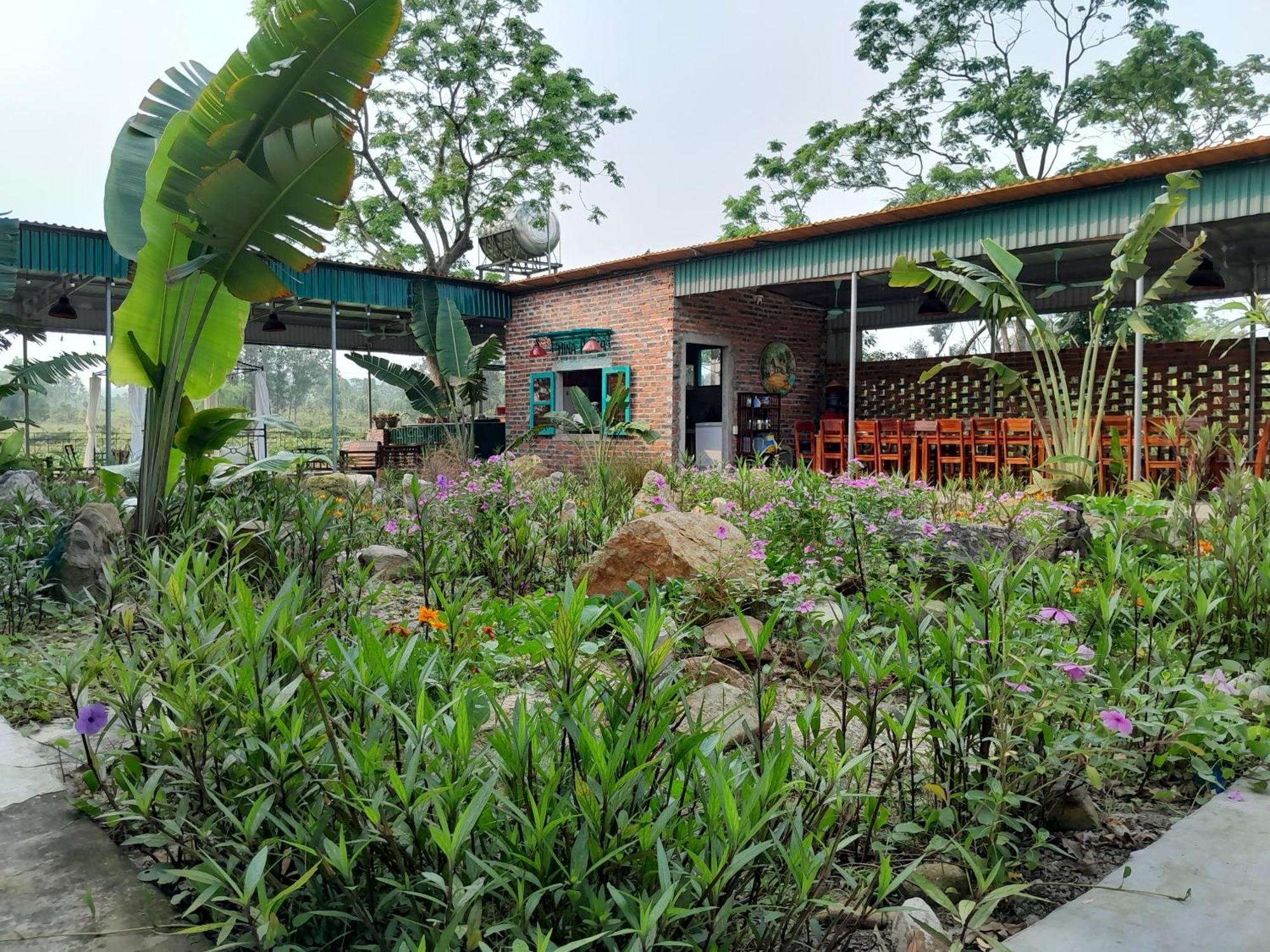 Mina Cafe & Stay Quan Lan Dış mekan fotoğraf